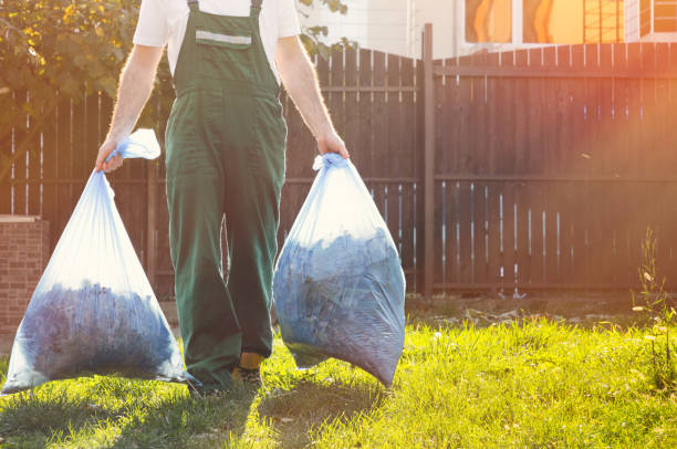 Professional Junk Removal Services in Wailua Homesteads, HI