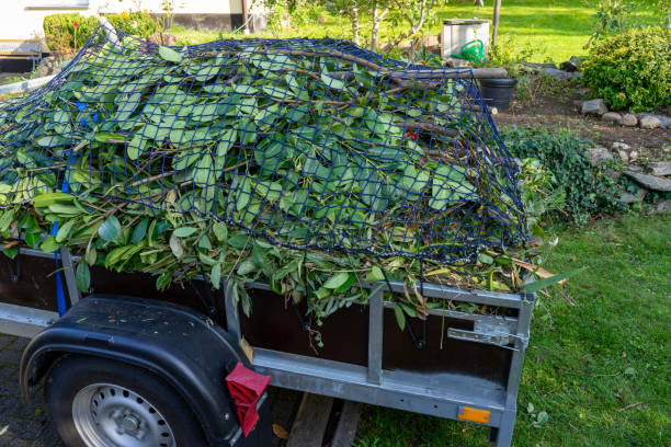 Best Dumpster Rental Services  in Wailua Homesteads, HI